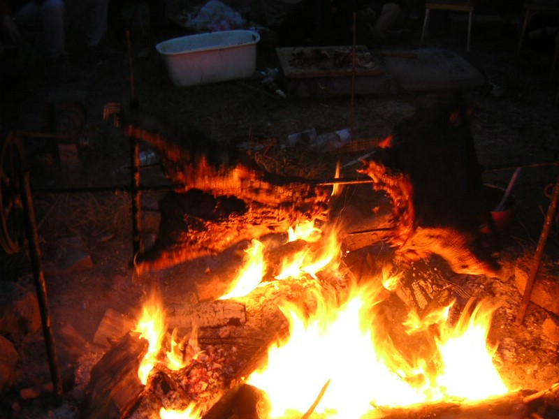 DSCN8182.JPG