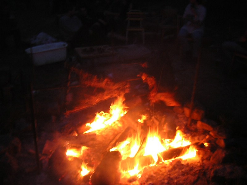 DSCN8186.JPG