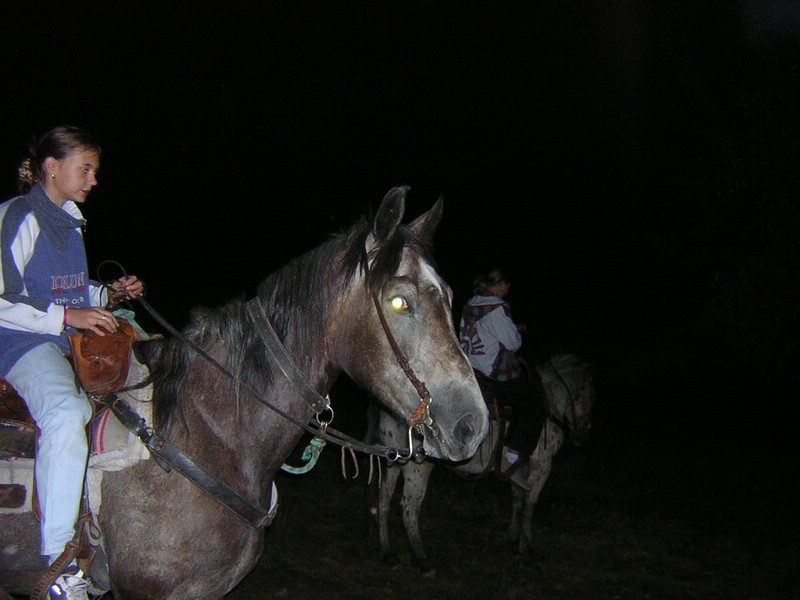 DSCN8193.JPG