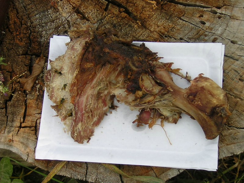 DSCN8361.JPG