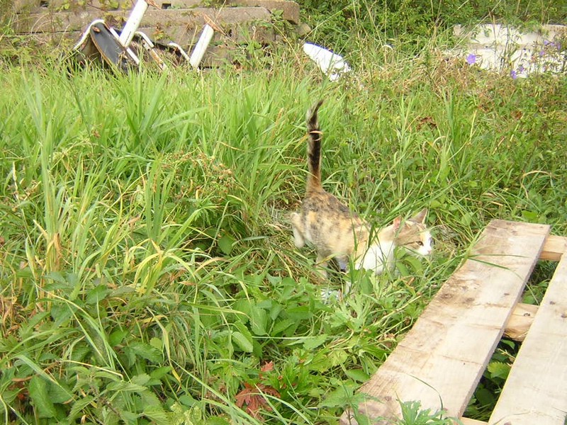 DSCN8392.JPG