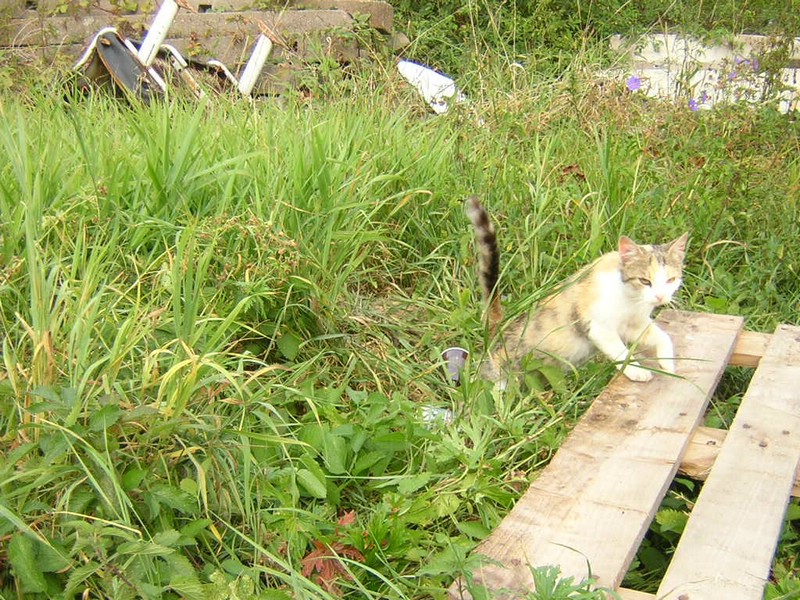 DSCN8393.JPG