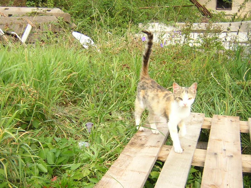 DSCN8394.JPG
