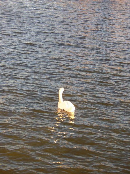 DSCN2904.JPG