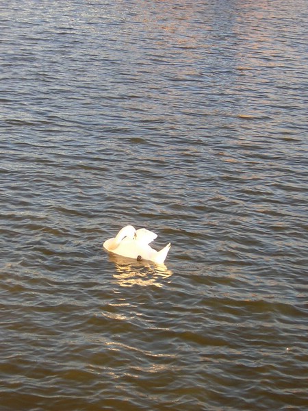 DSCN2905.JPG