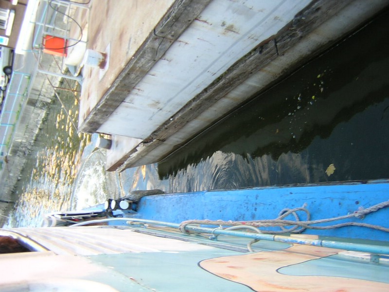 DSCN2908.JPG