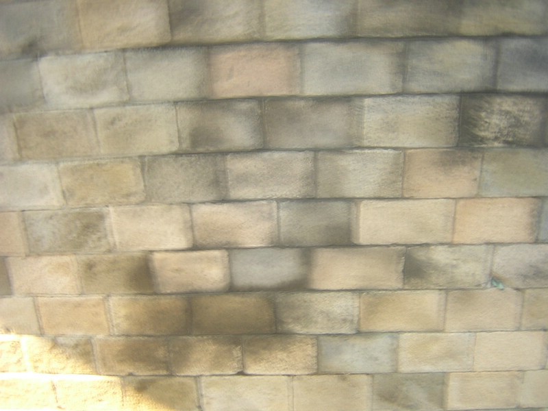 DSCN2914.JPG