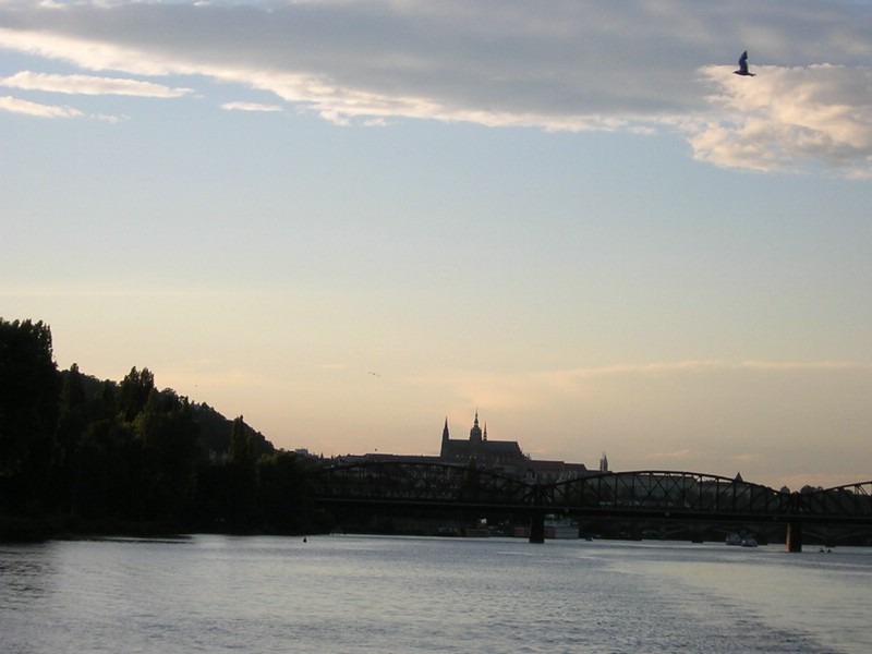 DSCN2934.JPG