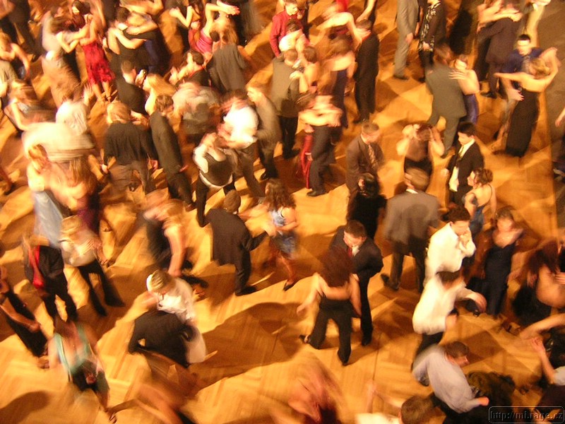 DSCN6217.JPG
