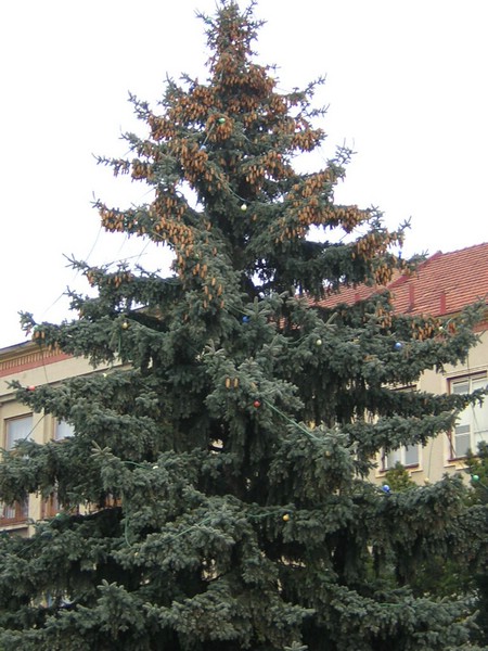 DSCN3895.JPG