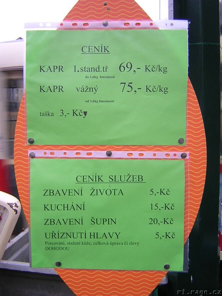 DSCN4596.JPG
