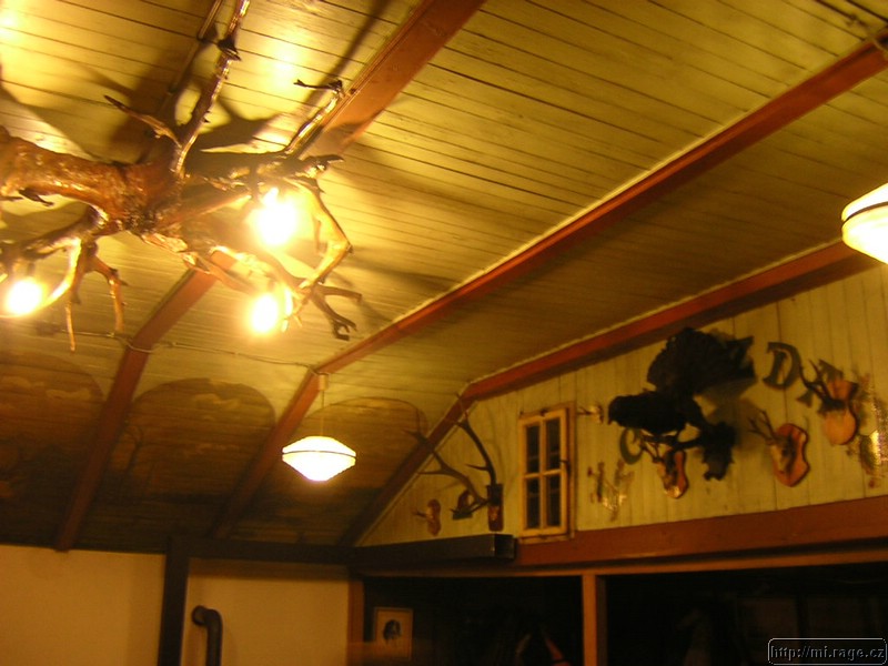 DSCN9736.JPG