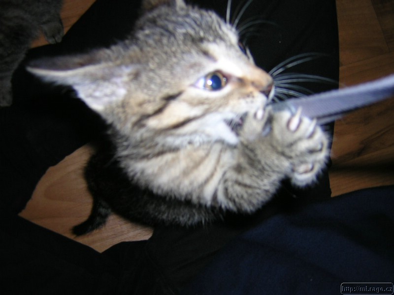 DSCN9818.JPG