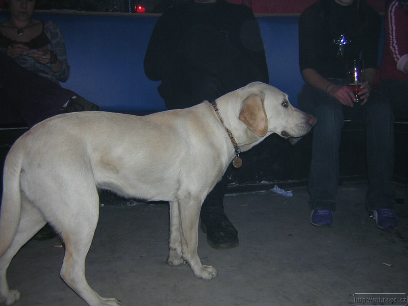 DSCN0965.JPG