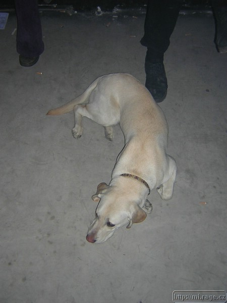 DSCN0966.JPG