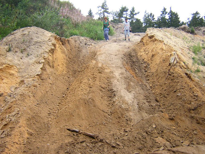 DSCN4302.JPG
