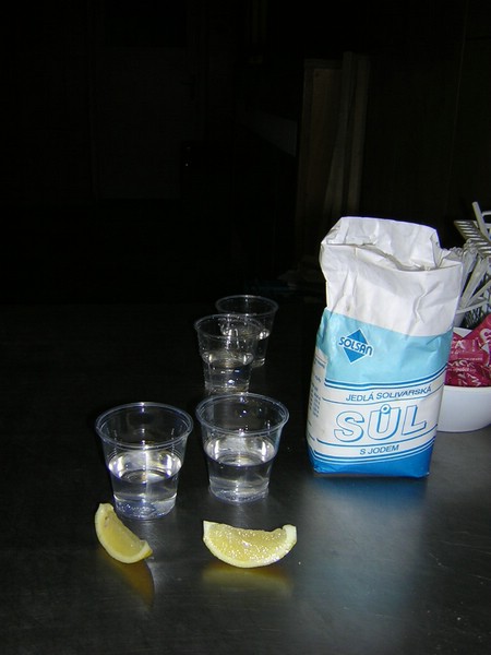 DSCN1520.JPG