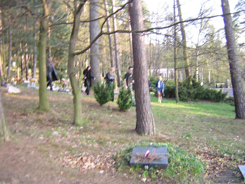 DSCN1896.JPG